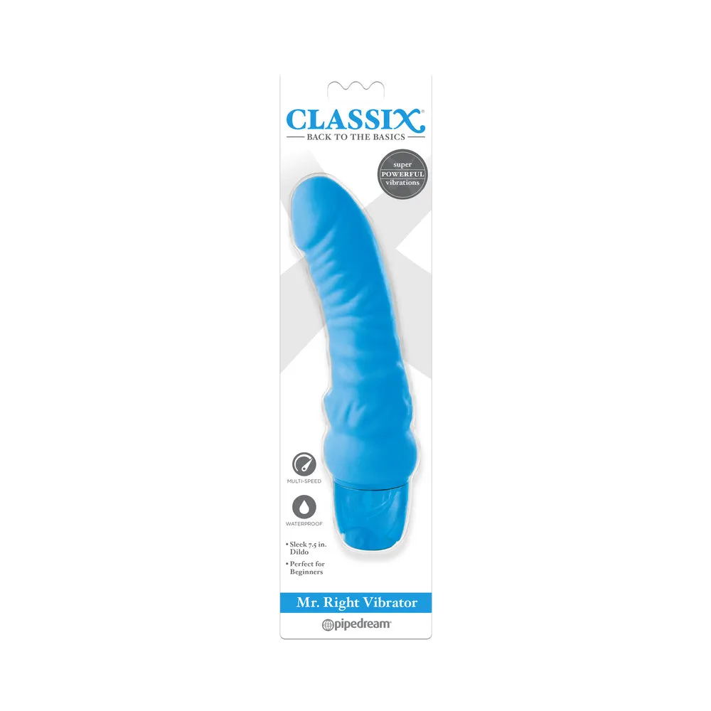 Classix Mr Right Vibrator - Purple