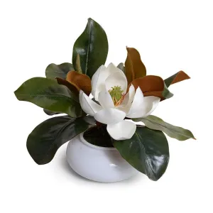 Magnolia Bloom in Porcelain Bowl 7"H