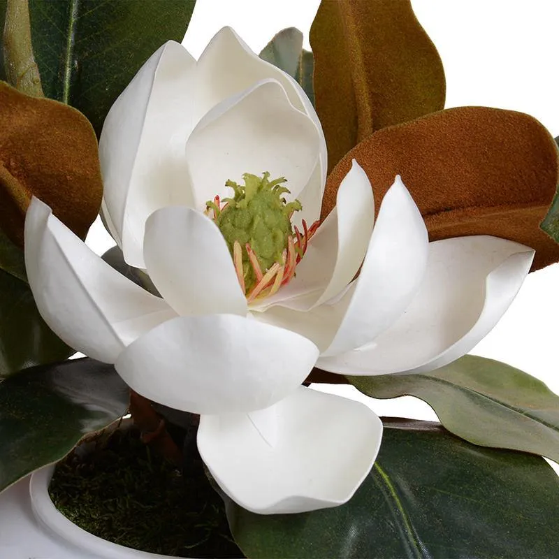 Magnolia Bloom in Porcelain Bowl 7"H