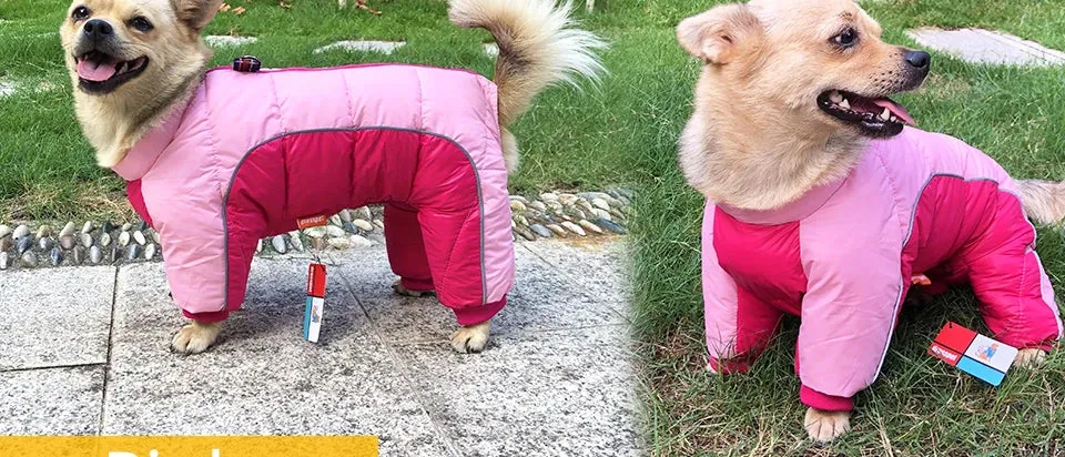 Super Warm Jacket For Small Dogs